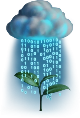 Sustentabilidade e Meio Ambiente